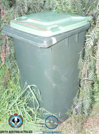 案件新进展！南澳一男子被控将受害者躯干藏在垃圾桶中！数人进行协助！-2.jpg